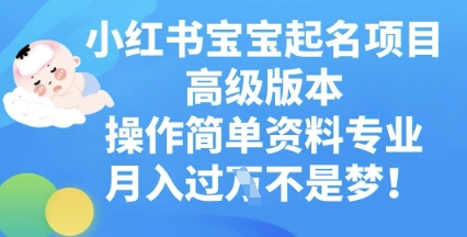 小红书宝宝起名项目高级版本,操作简单,资料专业,月入过W-学而上