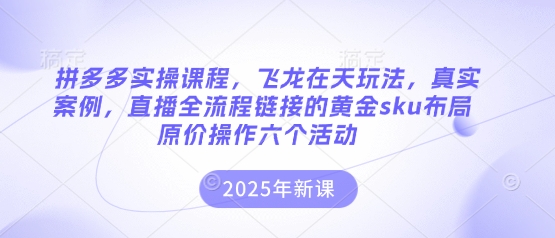 拼多多实操课程,飞龙在天玩法,真实案例,直播全流程链接的黄金sku布局原价操作六个活动-学而上