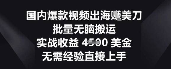 国内爆款视频出海挣美刀，批量无脑搬运，实战收益4.5k，无需经验直接上手-学而上