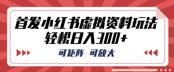 首发小红书虚拟资料玩法，可矩阵，可放大，轻松日入3张-学而上
