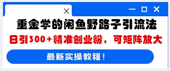 重金学的闲鱼野路子引流法，日引300+精准创业粉，可矩阵放大-学而上