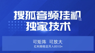 【搜狐音频挂G】独家技术，可矩阵可放大，红利期稳定月入8k【揭秘】-学而上