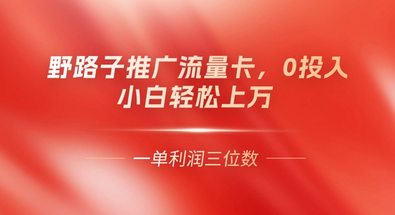 0门槛推广流量卡,一单收益上百,0投入,小白月入过W-学而上