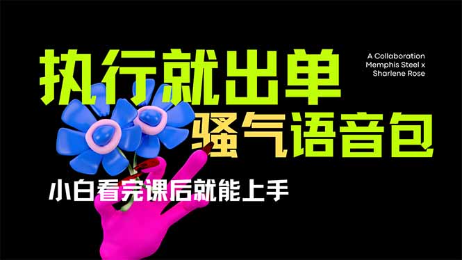 （14170期）爆火全网的开车导航骚气语音包,只要执行就出单，小白看完课程就能实操...-学而上